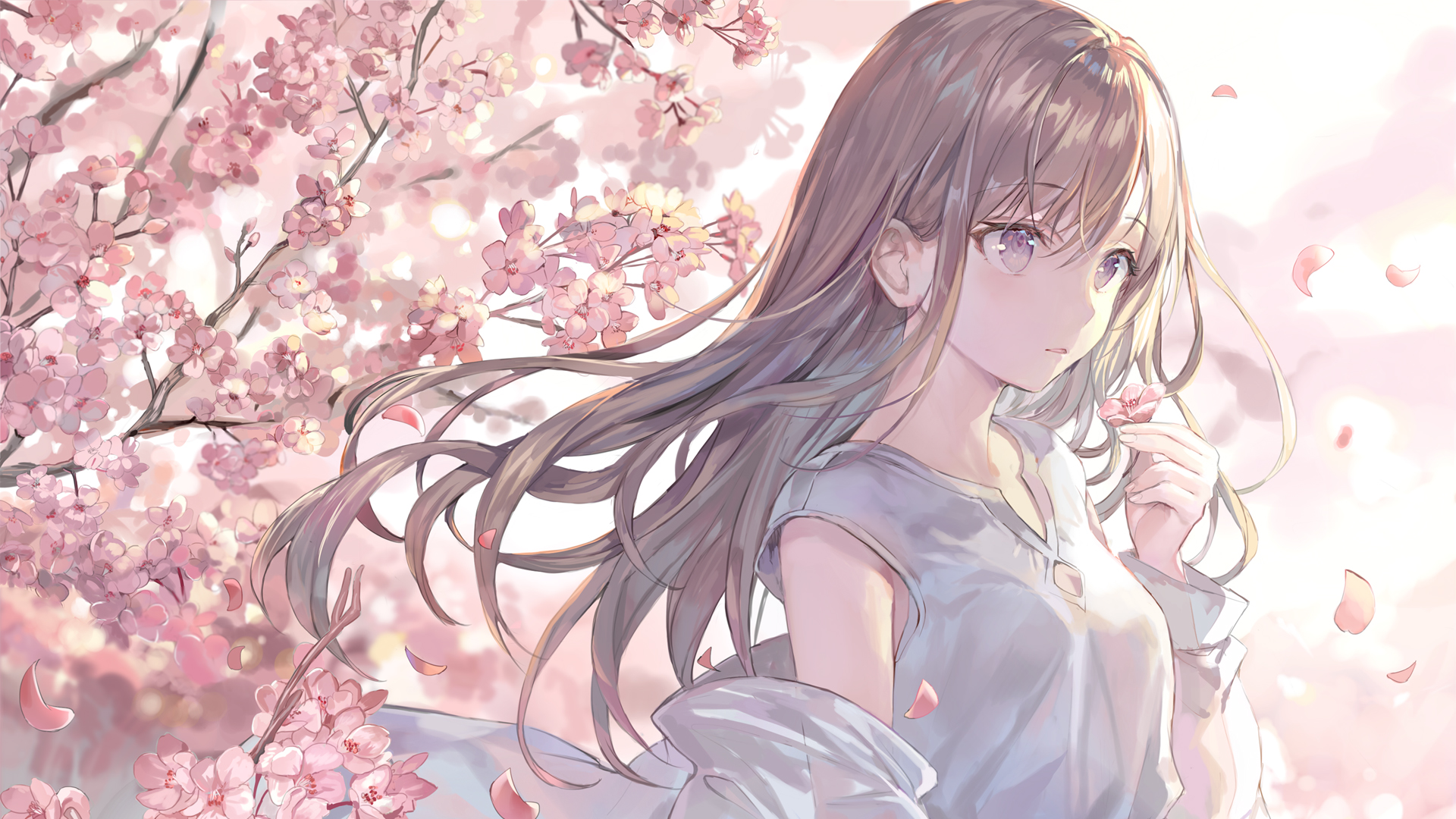 📱 最新 iPhone 17 系列设备码分享（含 iPhone 16e）