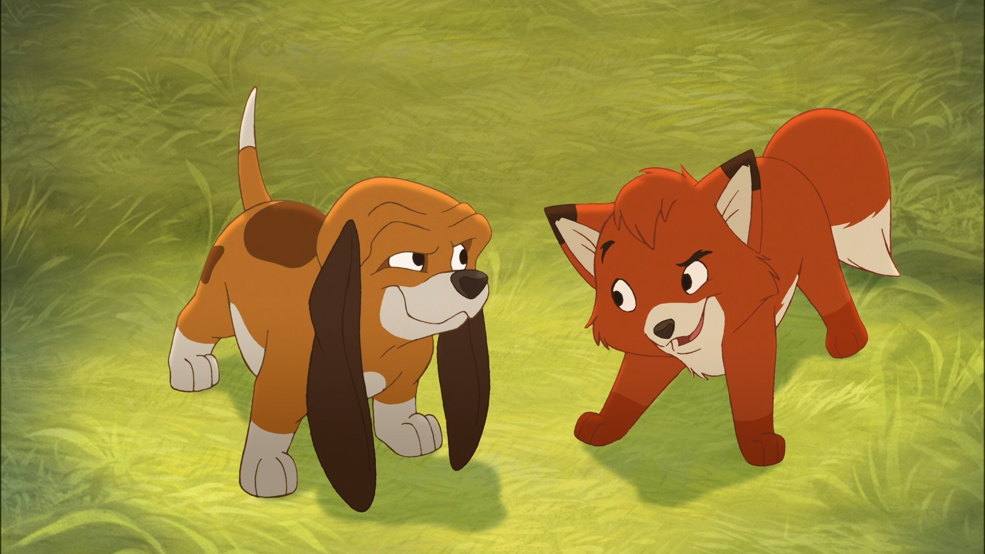 📱 最新 iPhone 17 系列设备码分享（含 iPhone 16e）